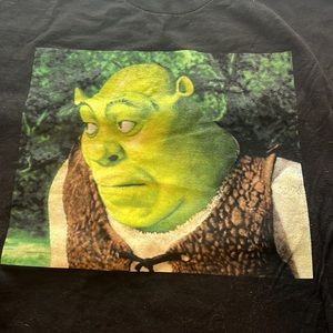 ADULT 2XL SHREK SHIRT FROM DREAMWORKS (BARELY WORN)